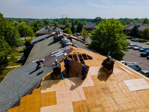 24/7 Emergency Metal Roofing experts in Erwin, TN